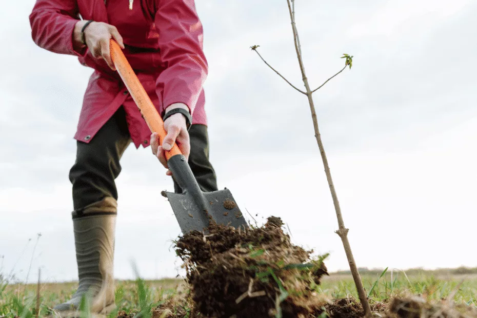 Quand labourer la terre ?